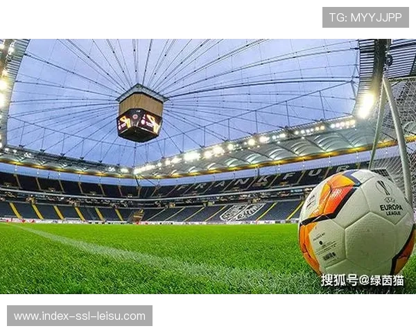 德甲球队财务健康分析，预算分配影响赛季强度持续性